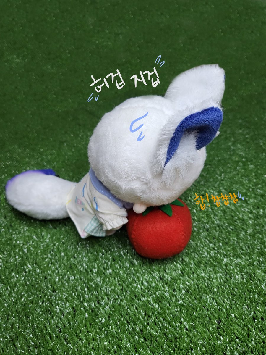 ?? : 설비야 모해?
설비 : ..!!! Σ(°△°|||)︴

~설비는 (몰래) 토마토 먹방 중~
#국내_무속성 #무속성_설비 #솜인덕장터 #솜인덕장터