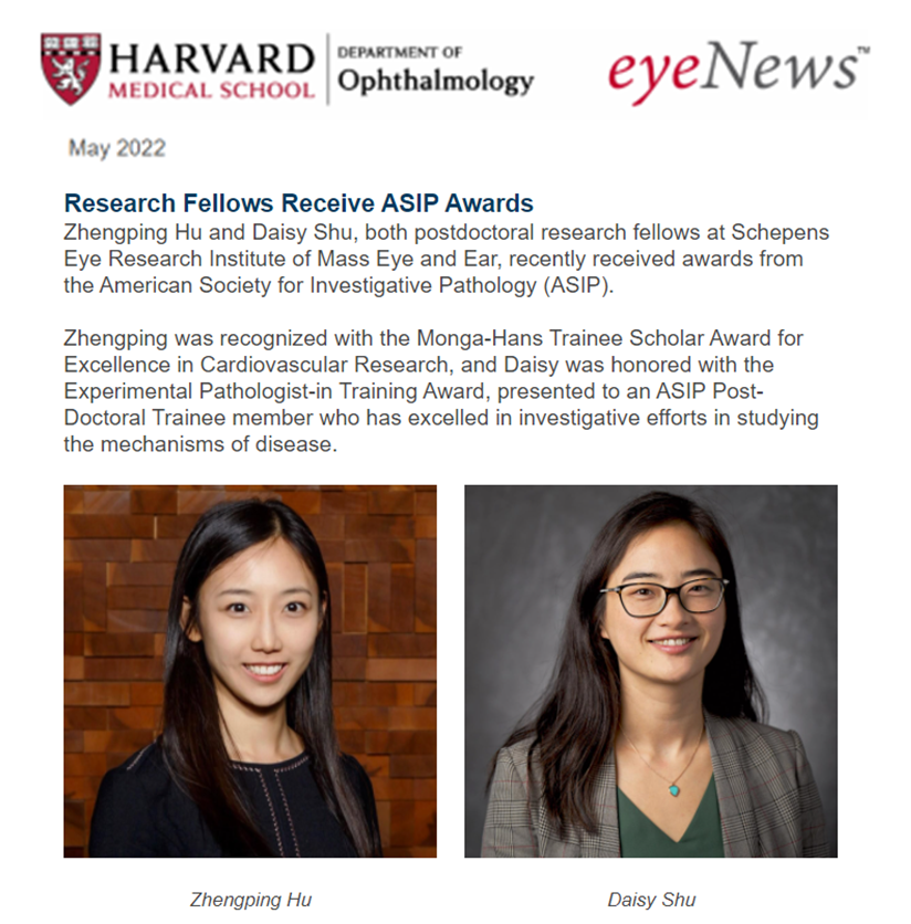 EyeDaisyShu's tweet image. Thank you so much @HMSeye for sharing our @ASIPath awards at #ExpBio @expbio meeting in eyeNews! I&apos;m so honored to be a recipient of the ASIP EPIT Merit Award! A big congratulations to @DrZhengpingHu on the Monga-Hans Trainee Scholar Award! #scicomm