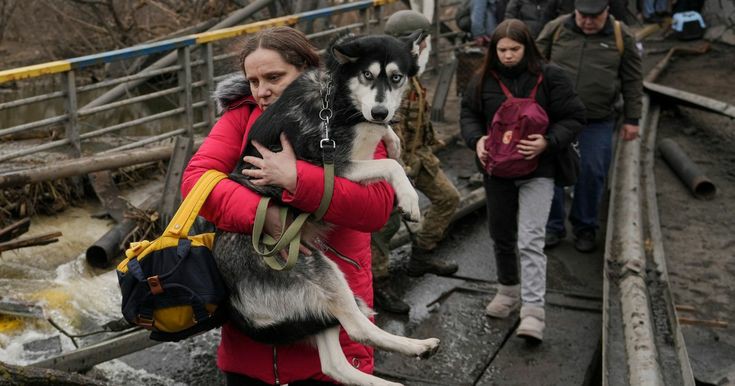 montalbanyi's tweet photo. @ClCharpentier 2
#PetsOfWar https://t.co/8fDgpnHIhV