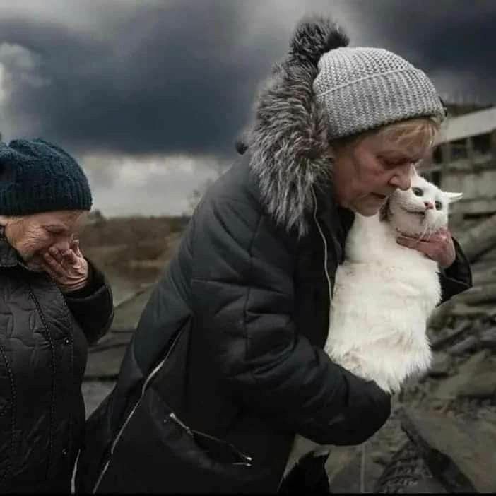 montalbanyi's tweet photo. @ClCharpentier 2
#PetsOfWar https://t.co/8fDgpnHIhV