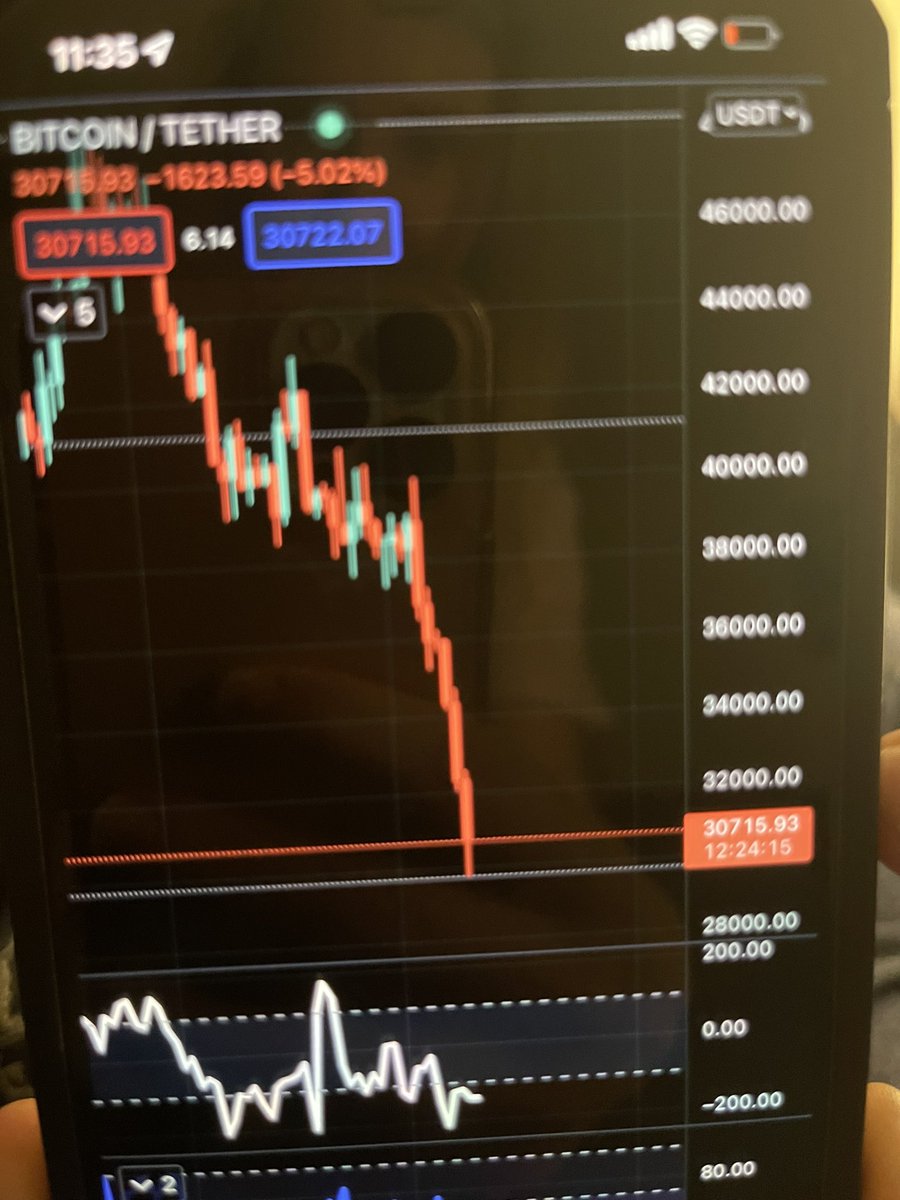 Sasha NYC NFTs Producer Ski wolves club tweet media