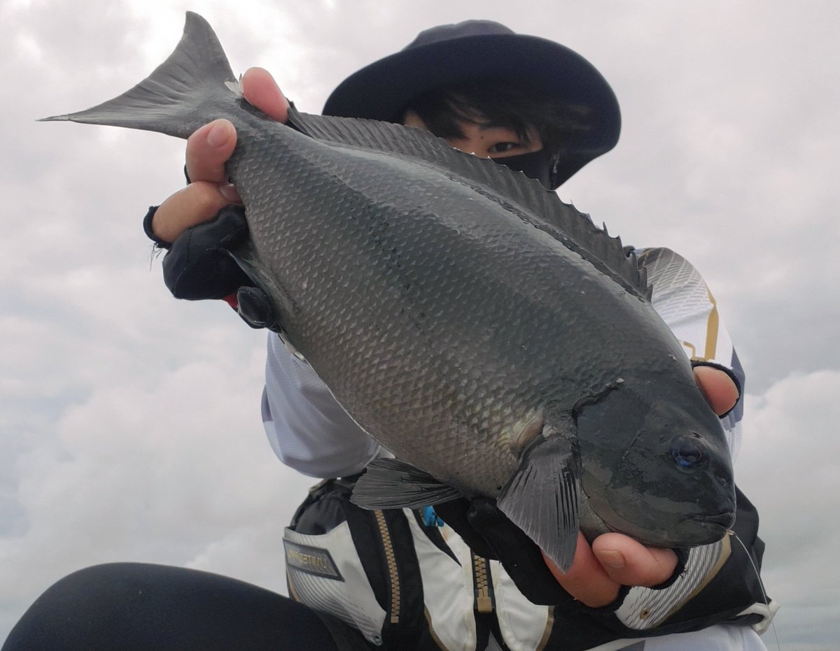 daisonfishing's tweet photo. 昨日の結果
やっぱりソルブレは最高
今年の尾長狙いはとりあえず終了します、今年も釣れてくれてありがとう👍️
もっと腕を上げて来年のシーズンに挑みます😏 https://t.co/9VQMoqF4og