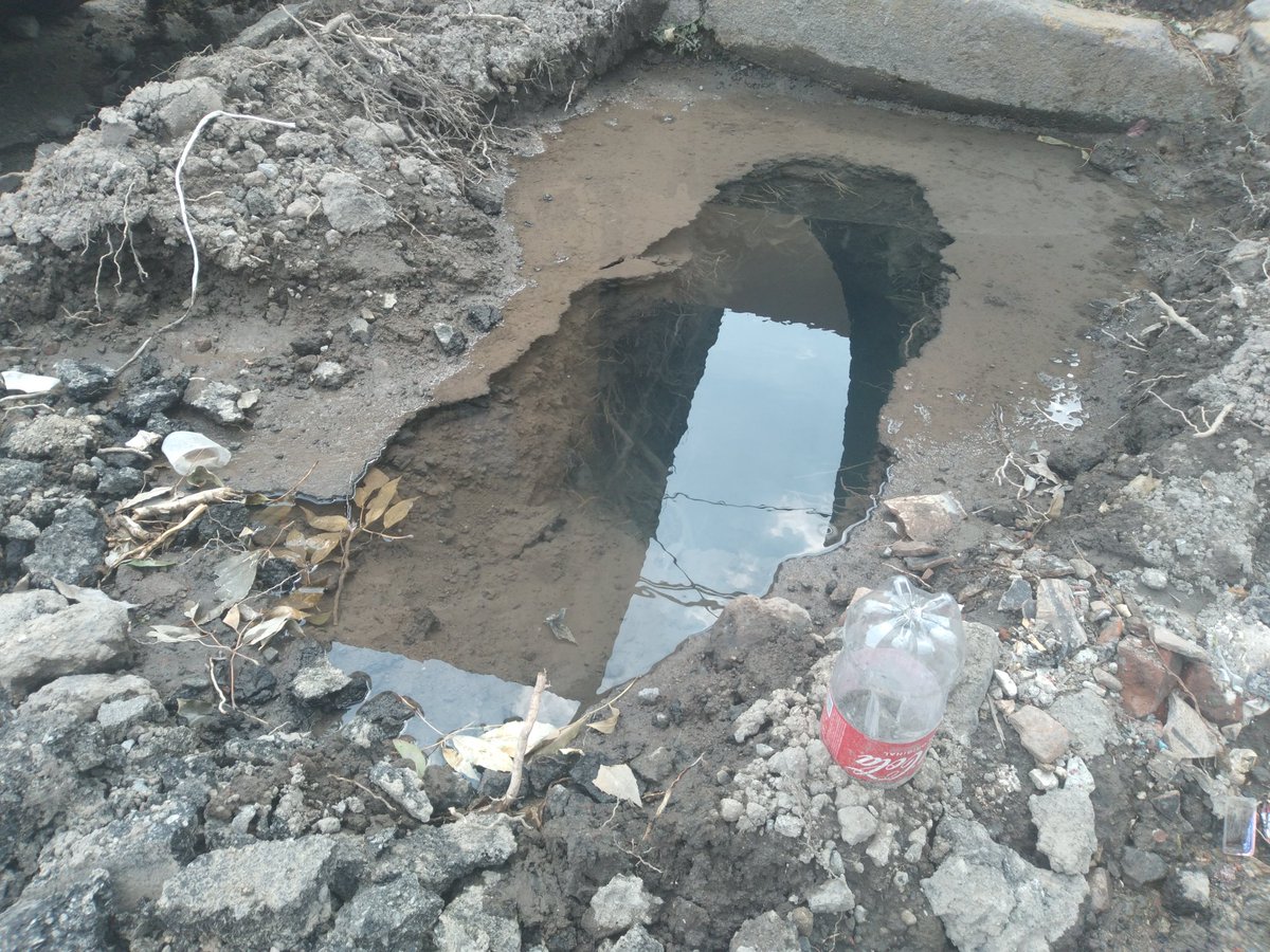 Fernanda Vázquez Vela tweet media