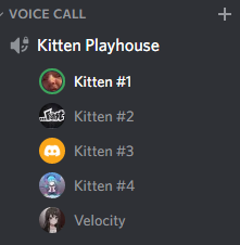 Velocityttv's tweet photo. Life is good🥰 https://t.co/ICEmnfPsV0