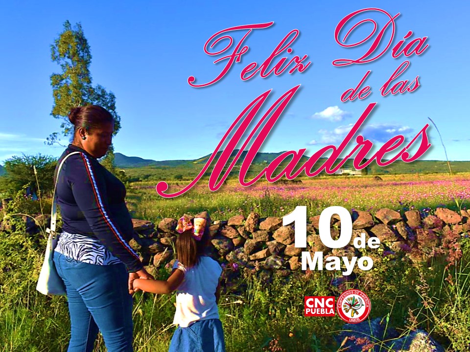 Las madres rurales toda la vida han sido madres trabajadoras, que cumplen sus jornadas acompañadas de sus hijos.

Por ello en su día, nuestro más grande reconocimiento a su trabajo en los hogares y las tareas productivas del campo.

Feliz #DiaDeLasMadres