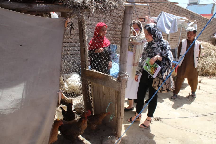 UNODC_AD's tweet photo. 📢💬UNODC high-level mission: @MiwaKatoEmpower & implementing partner #DACAAR met with poultry women group in Kabul. @UNODC is supporting livelihoods through 2021-2022 Japan supplementary fund. Food security is a priority for all! @MofaJapan_en🌱🌿 https://t.co/3W4TgIPArO