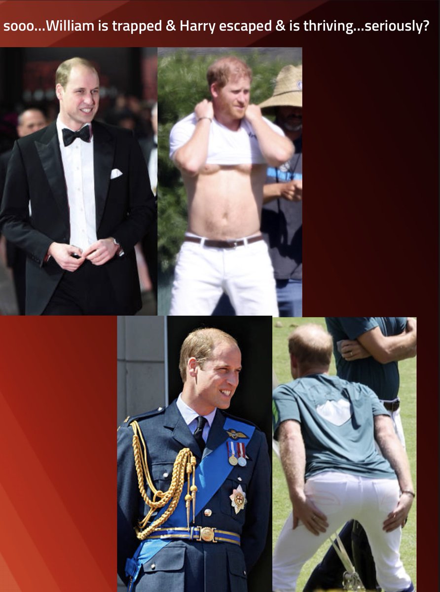 #HarryforHire escaped & is thriving William remains trapped?

Looks like Prince #IamNETFLIX is flailing, failing & desperately seeking attention. 

Keep #PrincePATHETIC &  #DuchessDUMPED away from #PlatinumJubilee & @RoyalFamily  @KensingtonRoyal