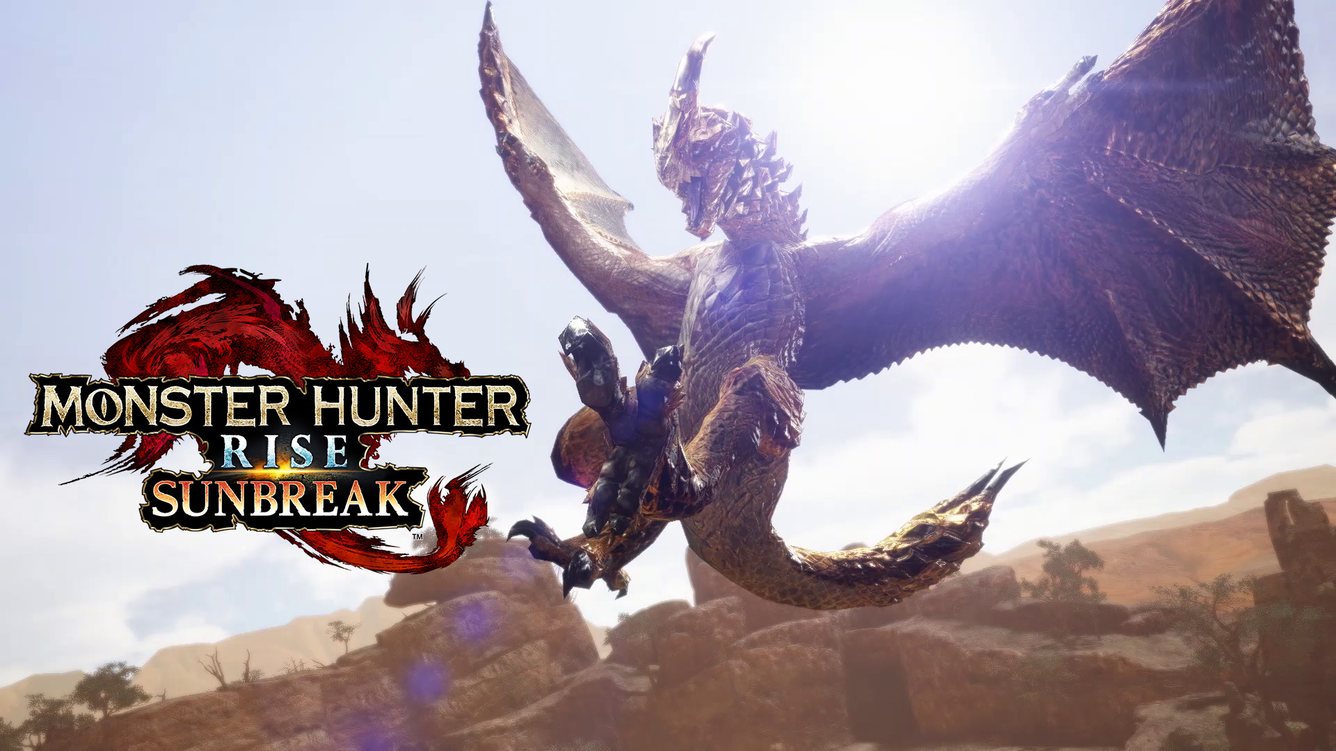 Monster Hunter on X: Today marks the 1 year anniversary of Monster Hunter  Rise: #Sunbreak! Everyone from Elgado and Kamura have gathered for a  wonderful ball to celebrate this momentous occasion. Here's