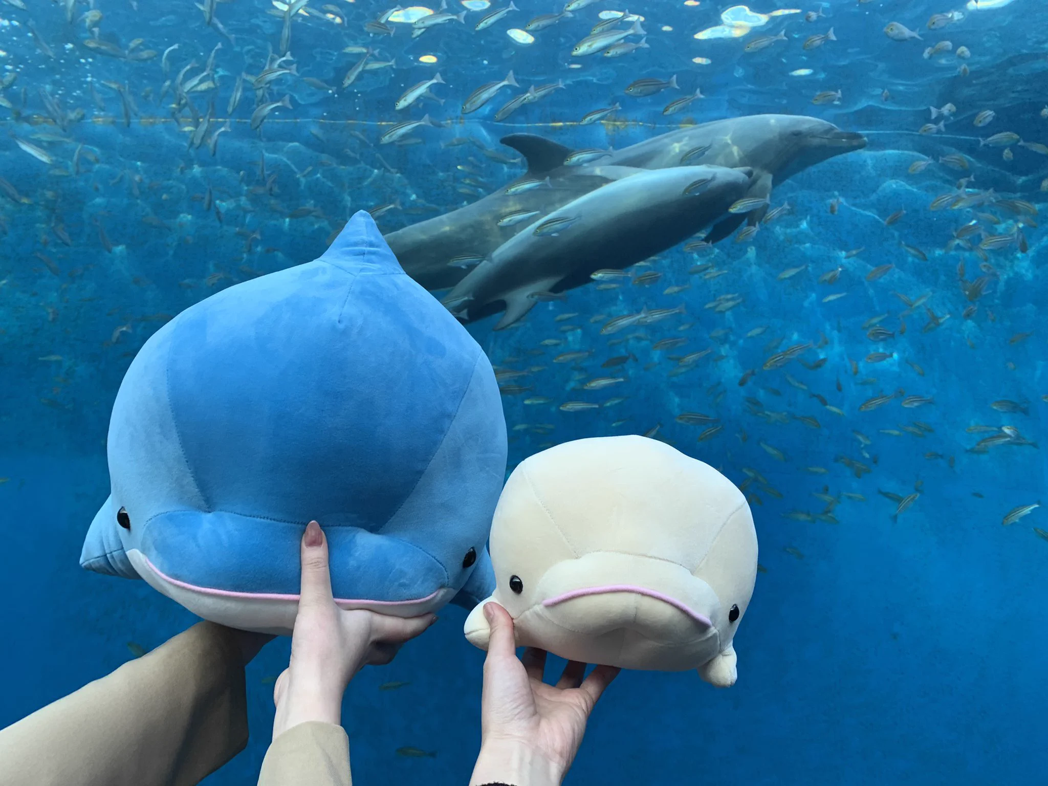 @livedoornews とても楽しかったです🥰❤️
ちゃんとお家にいます🥰❤️ 