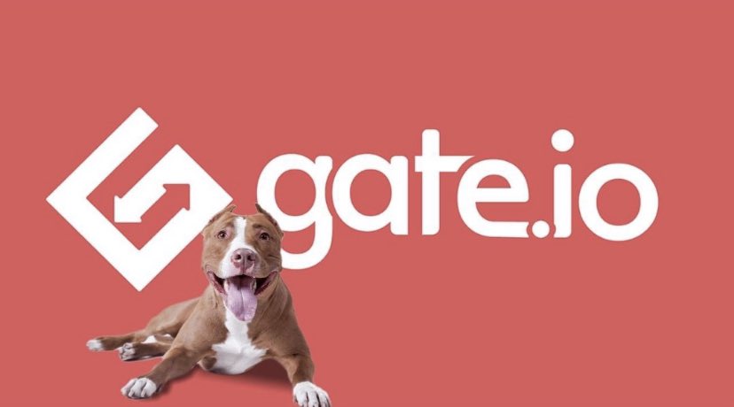 HCK_shige's tweet photo. @bsc_daily @BscPitbull @gate_io #pitbultoken https://t.co/MzAFf0DDWr