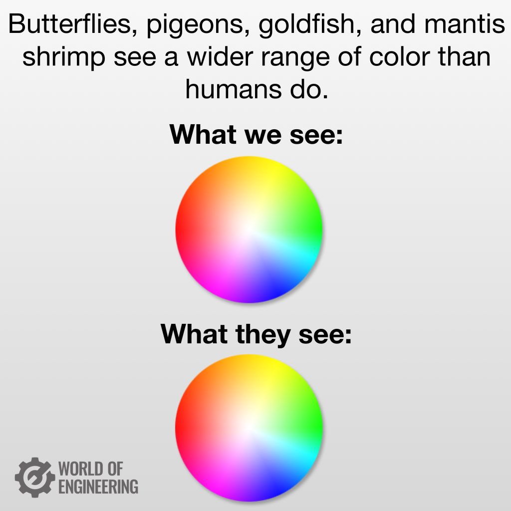 Science!