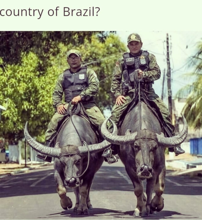 Outta_Space51's tweet photo. BeastMode
#Brazil 🛸 https://t.co/yn0fjCVUwk
