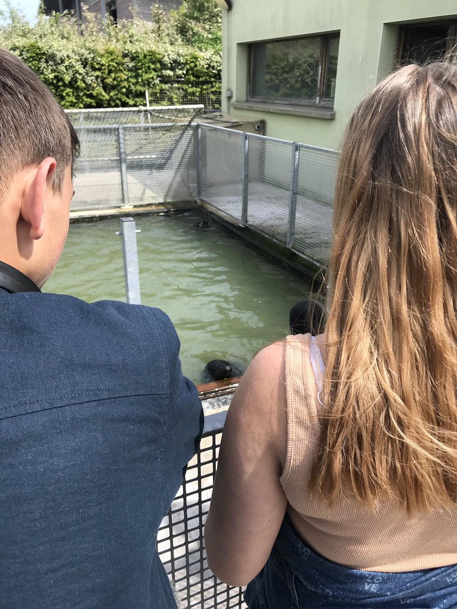 yolau59200's tweet photo. Direction la plage pour nos deux reporters @F3nord pour un reportage sur les effets du réchauffement climatique sur la faune marine. rencontre avec le Président de la coordination Mammalogique et rendez vous à la LPA de Calais où on soigne des phoques. #EMI #classemedias https://t.co/OLnirIa3lT