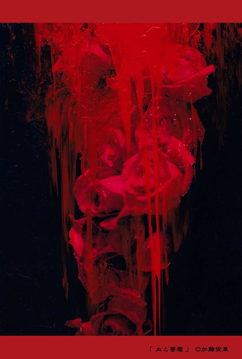 血と薔薇 Twitter Search Twitter 血と薔薇 Twitter Search Twitter