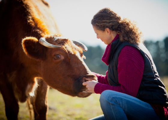 We've got another bumper edition of our monthly newsletter hitting inboxes soon. It includes some leadership reflections, a summary of the 2022-23 Victorian Budget, and stacks of oportunities for training and development. Are you subscribed? extensionaus.com.au/VRWNetwork/home