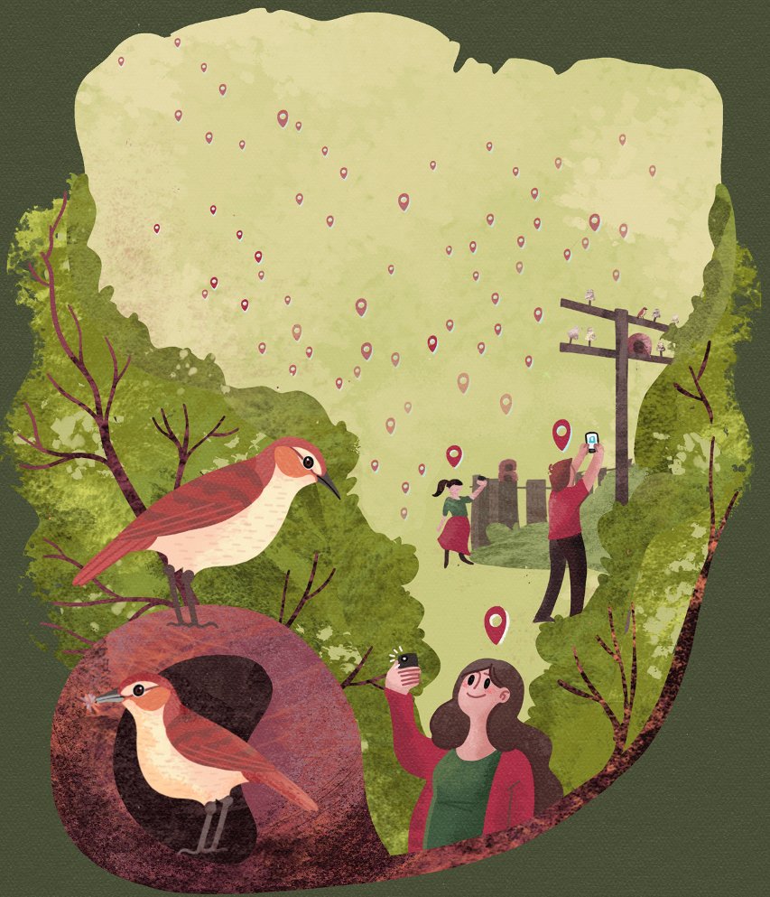 NMadreani's tweet image. Sharing a 🧵on one of the most inspiring projects I've been part of so far!

On the fascinating nest of the Rufous Hornero and its asymmetry (new paper)!

THE LINK: bit.ly/AsymmHorneroCB

1/13

#furnarids #CitizenScience #cienciaciudadana #hornero #ornithology @CurrentBiology