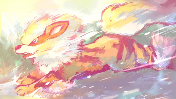 #ウインディの日 (昨日) 