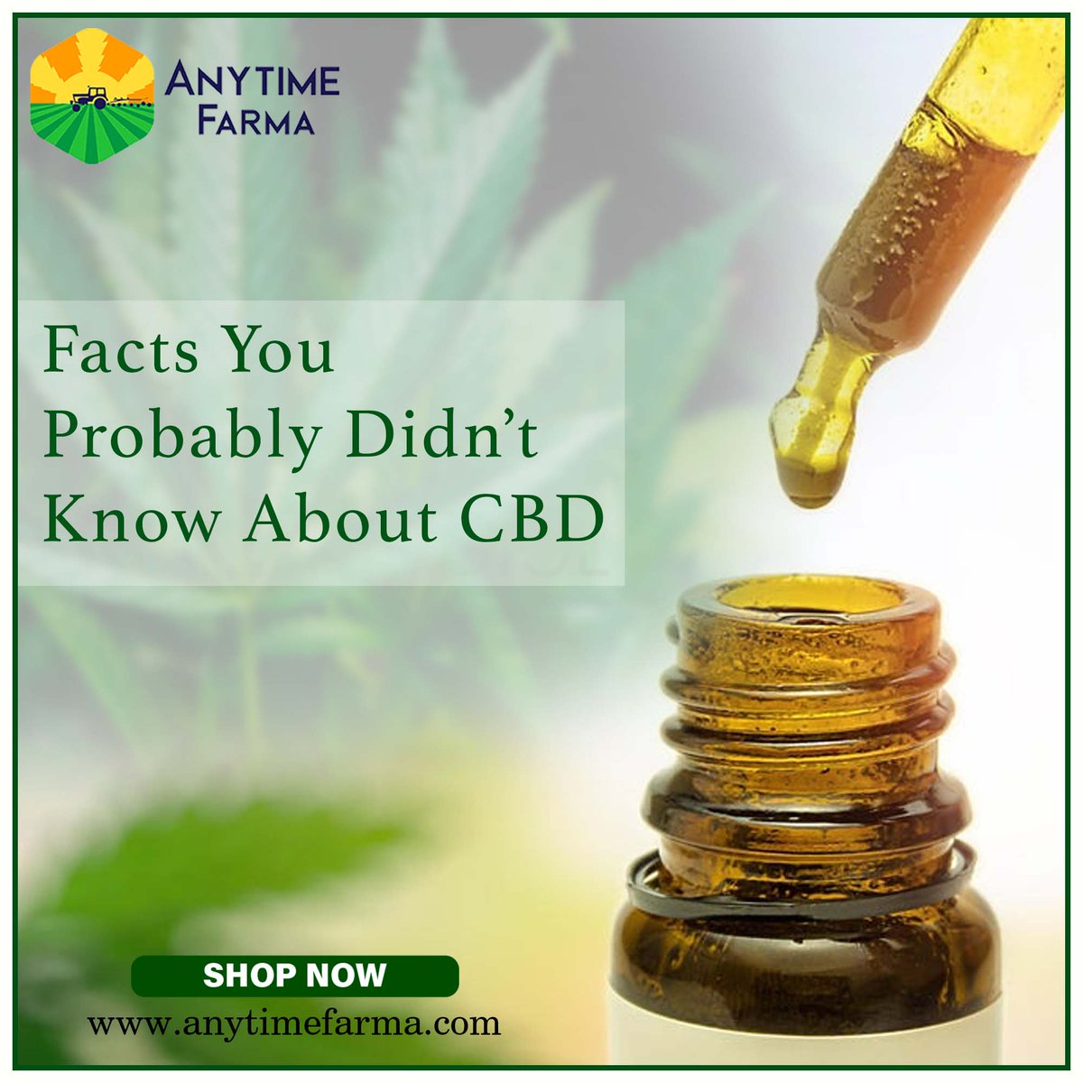 AnytimeFarma's tweet photo. CBD products like creams, salves, roll-on gels, and ointments have premium quality hemp extract. These are useful in helping reduce symptoms like inflammation and pain
https://t.co/Qo8ndzBlnk
#thcvscbd #Hemp #CBD #cbdproducts #cbdhealth #alternativehealth #alternativehealthcare https://t.co/NIfmkHCmeG