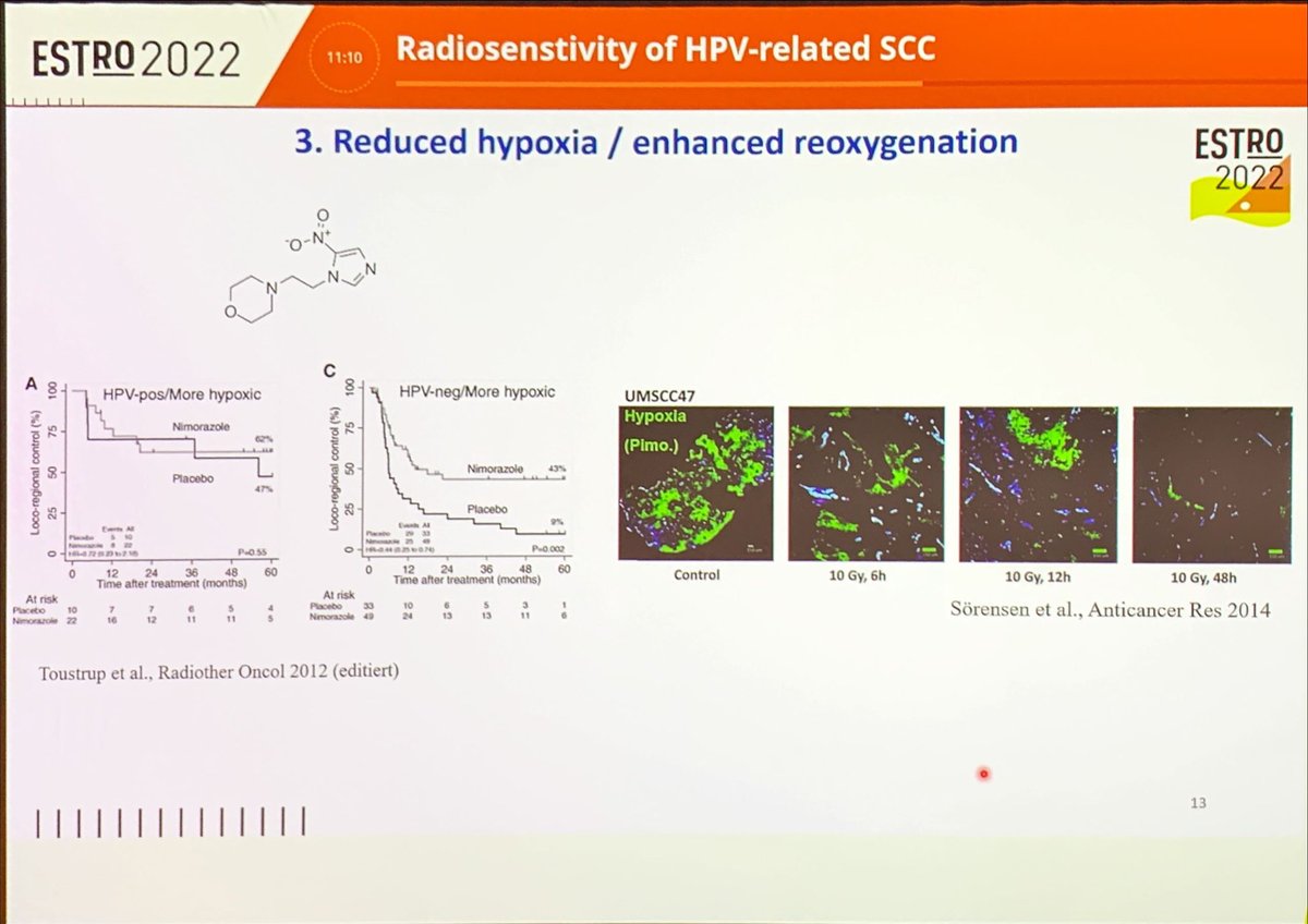 Why are #HPV+ cells more sensitive to radiation? T Rieckman’s explanation at #ESTRO2022 
1. Enhanced immunogenicity
2. Increased cellular radio sensitivity (unknown mechanism) 
3. Enhanced reoxygenation

#hncsm #cervicalcancer #analcancer