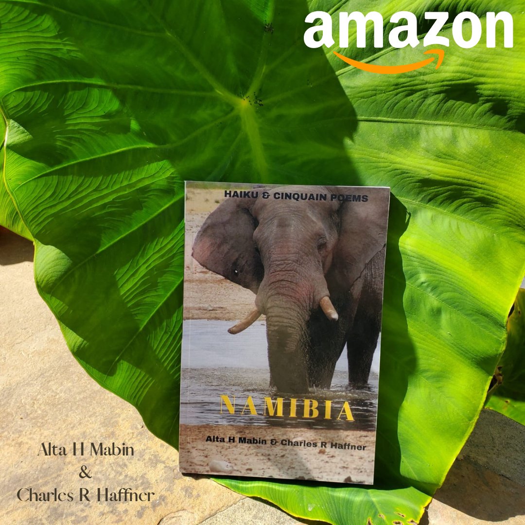 h_mabin's tweet photo. A photo journey through an intriguing land
Reviewed in Canada on April 8, 2022

Interesting short verses as captions for suitable scenes, some explanations, and many great close-up photos of desert plants, wildlife, and landscapes. https://t.co/OY0AzL9lhj