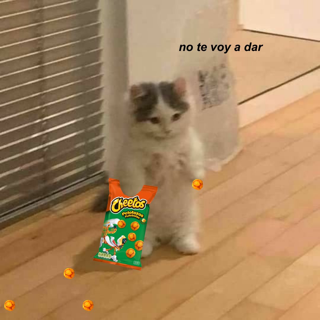 Yo cuando alguien mira fijamente mi bolsa de Cheetos