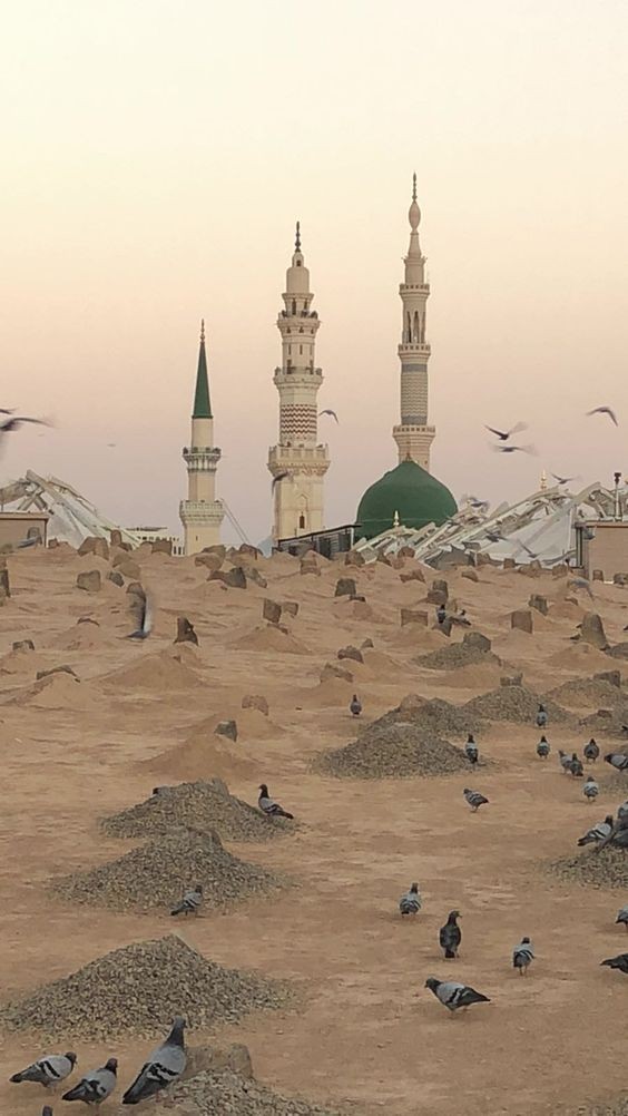 _Zeynab1n's tweet photo. Makam Para keluarga dan sahabat Nabi dihancurkan, dan al -Saud melarang para jamaah untuk menziarahi pemakaman Baqi~
#PemakamanBaqi

____titip
#RalineonDatingApp • Gus Miftah • Nessie • Damsir • Moonton https://t.co/AIO9JUE9Wj