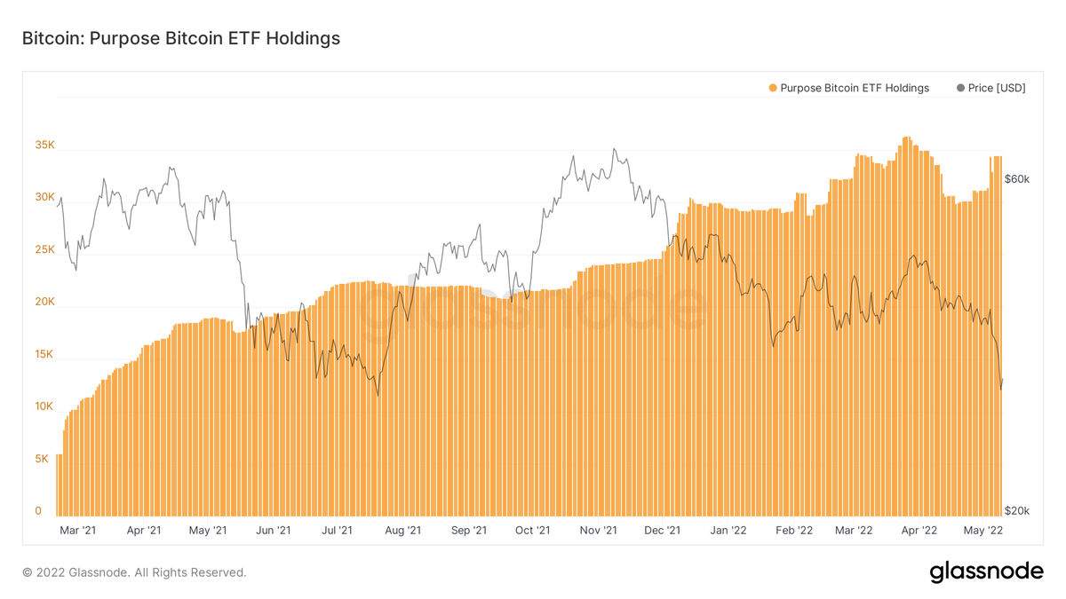 cryptorover's tweet photo. While you may have panicked, Purpose #Bitcoin ETF has significantly increased its $BTC holdings! 🔥👇 https://t.co/iblYleY1lG