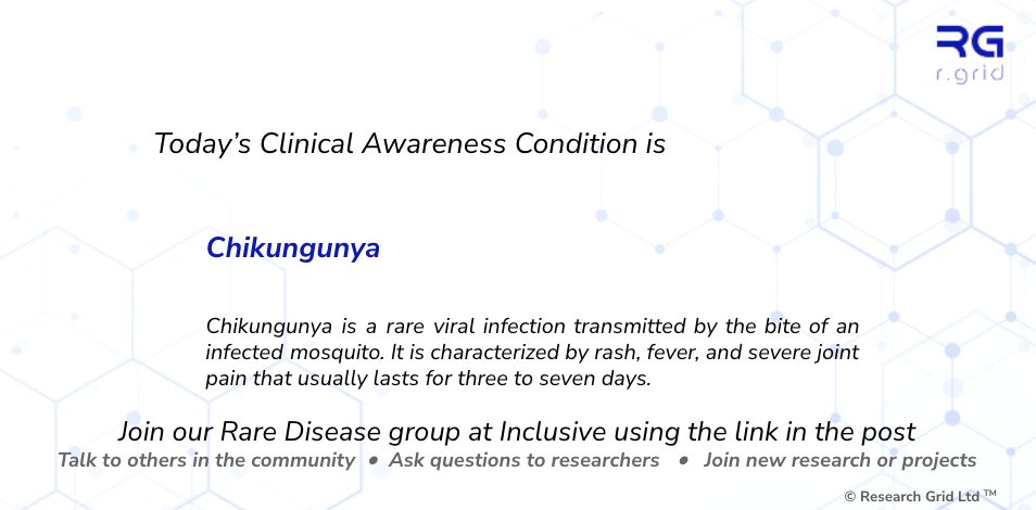 researchgrid's tweet photo. Join our Rare Disease group at Inclusive (By R.grid):
https://t.co/RTSXrNfq9K
-Talk to others in the community
-Ask questions to researchers
-Join new research or projects
#chikungunya #mosquito #raredisease #health #ClinicalTrials #PatientCare #Inclusive
#Rgrid https://t.co/nvGuGR1xQt