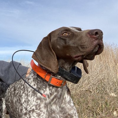 PangleJeff's tweet photo. #NewProfilePic https://t.co/Tb6H8J4Ty0