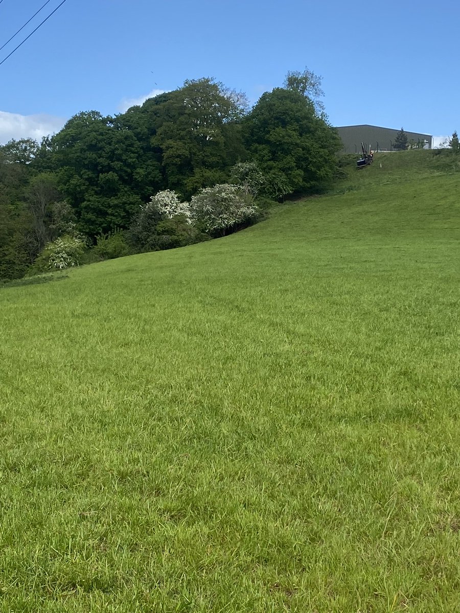 Top right hand corner!! That’s pretty bloody steep