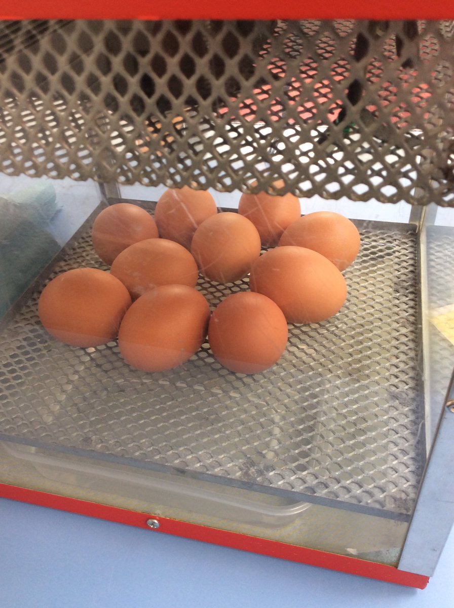 DahlAlt_HT's tweet photo. We had a special delivery yesterday. We are so excited to see what is inside the eggs.  We made predictions and we think we might be having a penguin, a snake, some butterflies and some chicks. Watch this space!!!!  @Alt_HT https://t.co/ufAPYe2dmn