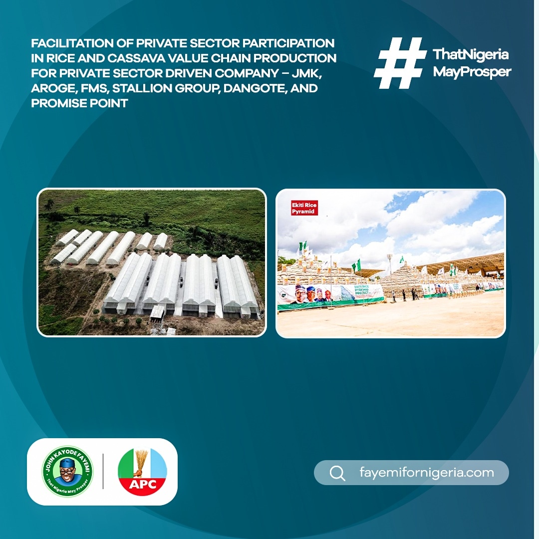 fayemifor9ja's tweet photo. Governor Fayemi has achieved tremendously in Agriculture and Food Security in Ekiti state.

He secured the facilitation of private sector participation on Rice and Cassava value chain production for https://t.co/vsjpMM8QcQ