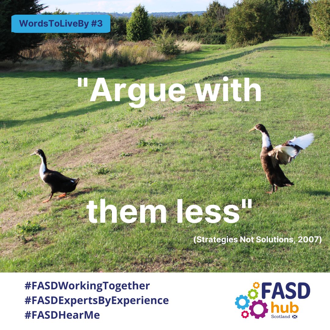 FasdhubScotland's tweet photo. Behaviours that can seem illogical on the surface are usually completely logical when understood through 'an FASD lens'.  Stepping back can give time and space to work out what is really going on.
#FASDWorkingTogether #FASDExpertsByExperience #FASDHearMe https://t.co/wOTlPkZomO