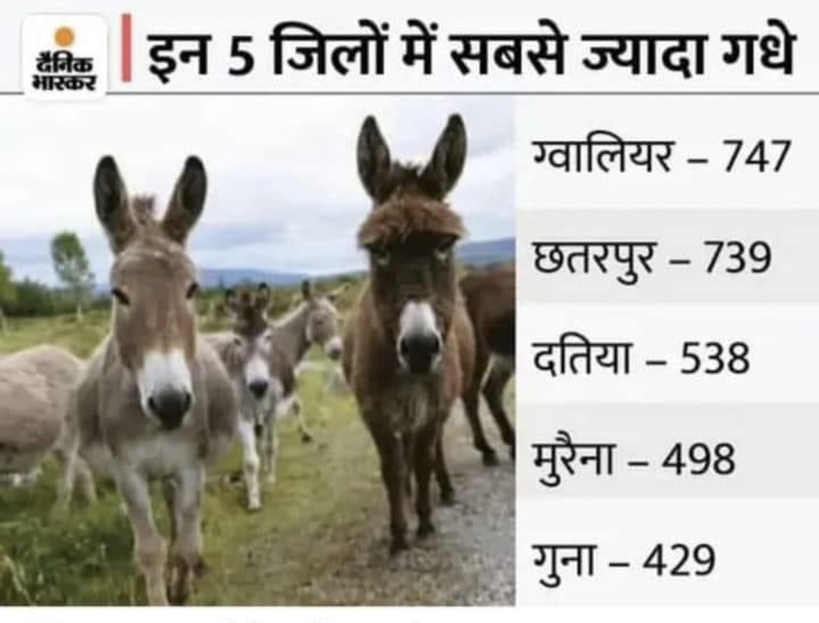 jitanrmanjhi's tweet photo. जाति आधारित मुल्क में गधों की गिनती हो सकती है पर जातियों की गिनती नहीं हो सकती?
“कुछ” लोगों को डर है कि अगर जातियों की गिनती हो गई तो दुनियां को पता लग जाएगा कि हमारे यहां किन लोगों ने किनकी हक़मारी कर देश का विकास रोक रखा है।
“सब बढेगें तो देश बढेगा” https://t.co/cEMbqBrNEb