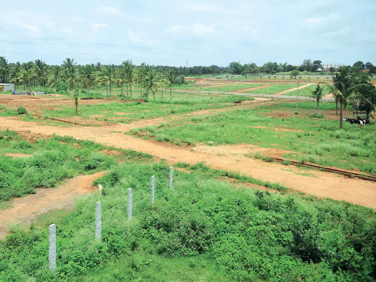BugandaLandB's tweet photo. LAND TIP.
Buy land whenever you can, it will not be cheaper the following day, month or year.
Also, whenever buying land, always pay in instalments. https://t.co/V7jcTbY20l