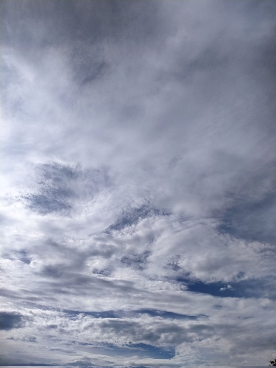 阿诚 (@ahczng) on Twitter photo 