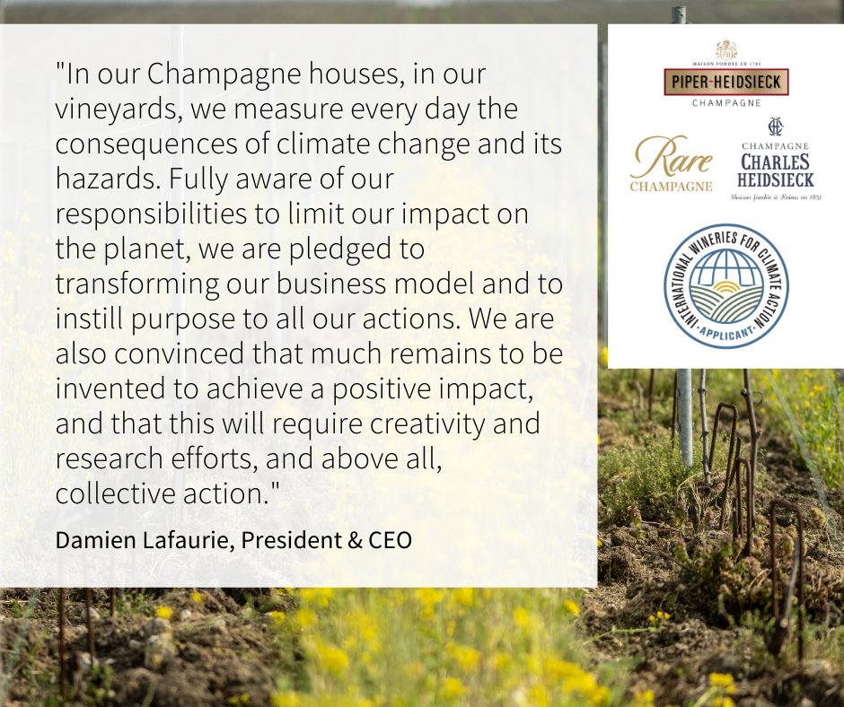 The Champagne Houses @PiperHeidsieck, Charles Heidsieck &amp; Rare Champagne have been based in Reims in the heart of Champagne for centuries. They strive to integrate sustainability into all projects and decision-making. We are honored to welcome them to IWCA!