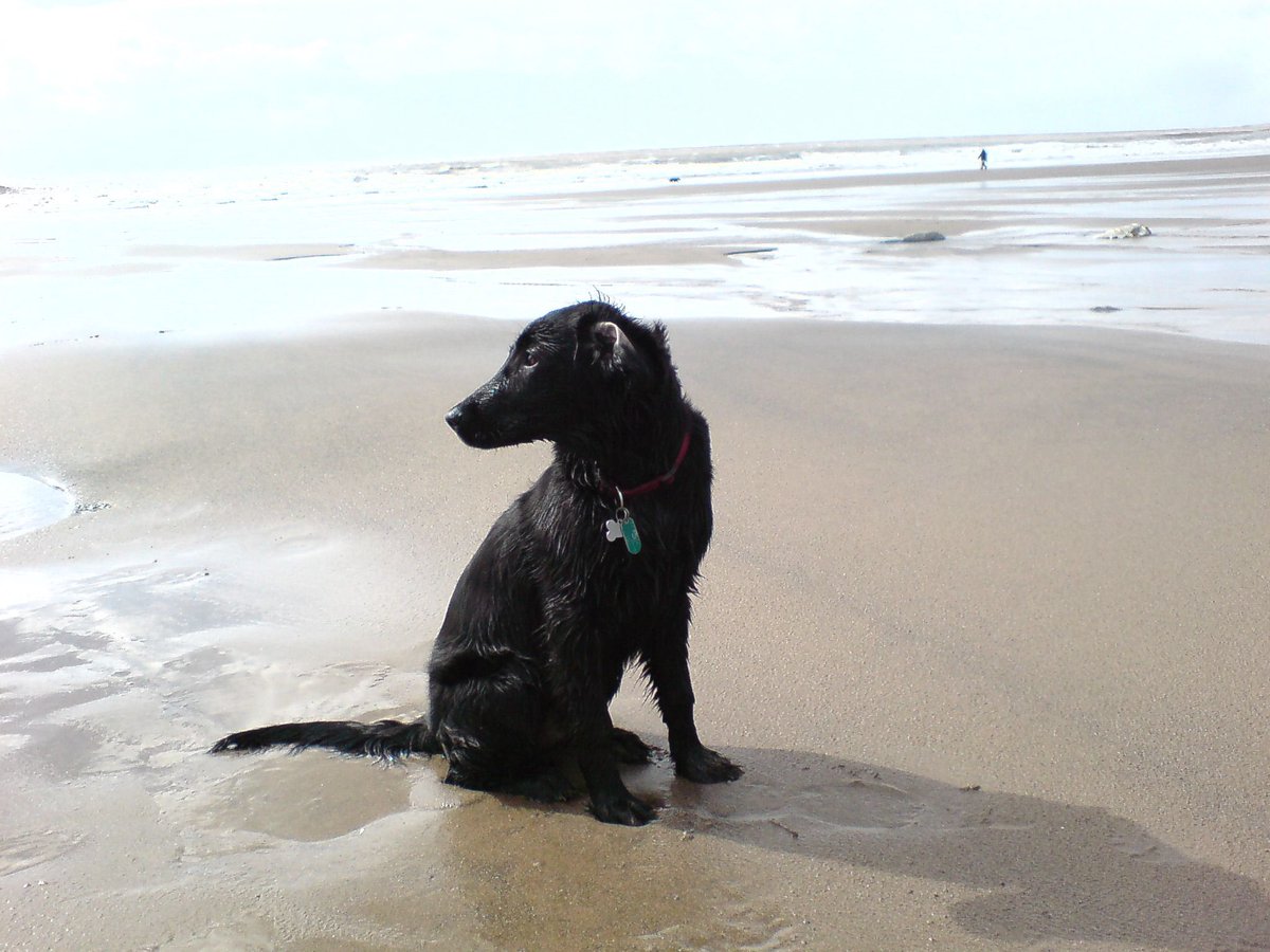 The Real Twatterman tweet media