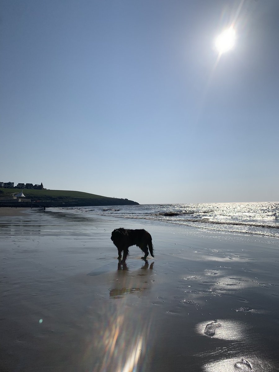 The Real Twatterman tweet media