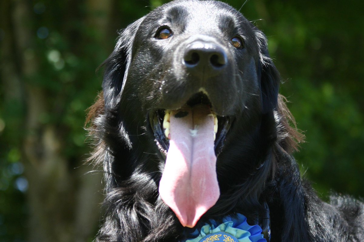 The Real Twatterman tweet media