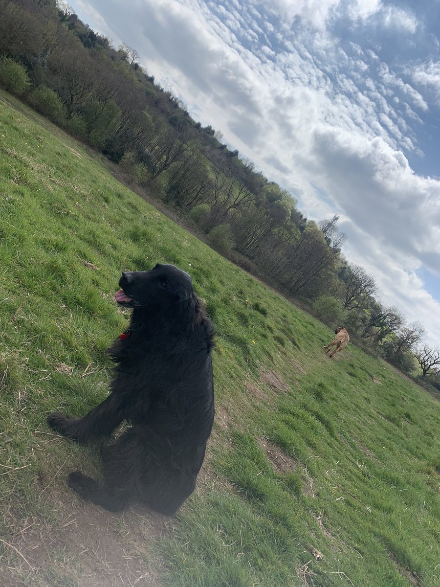 The Real Twatterman tweet media