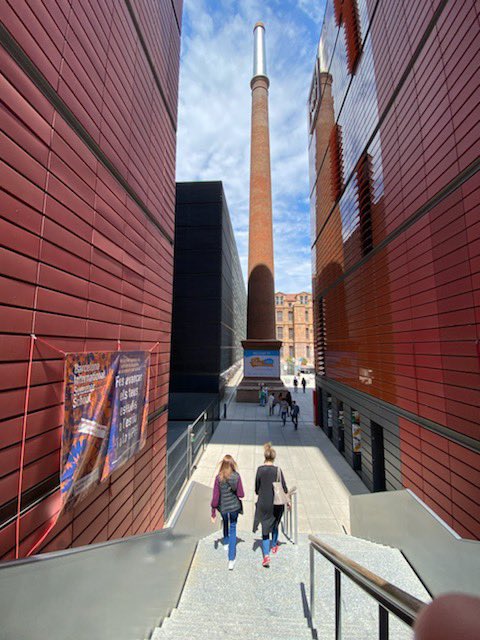 Tabitha Lewis Safdi tweet media