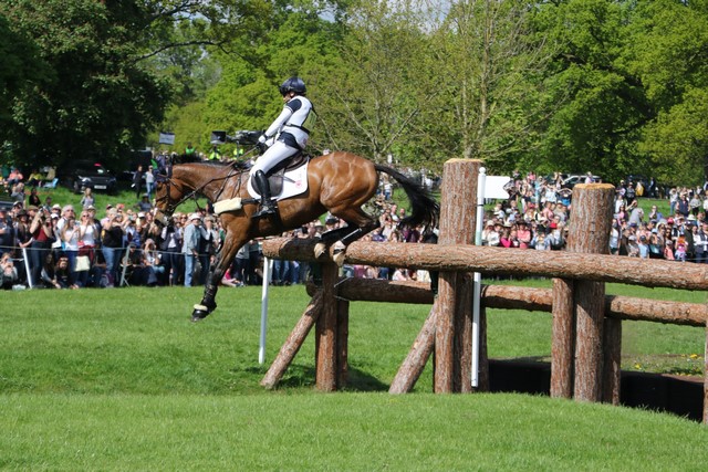 Horse-talk tweet media
