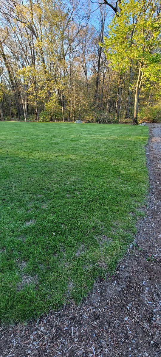 growingwisdom's tweet photo. I would keep your lawn at summer length 3"+ until we see some rain. To short it will burn easier. https://t.co/joPBvXwOcT