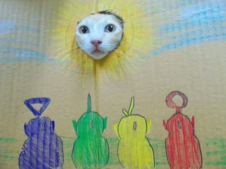 TranslatedCats's tweet photo. Manut you make me look bad!! https://t.co/mzljwdV5i8