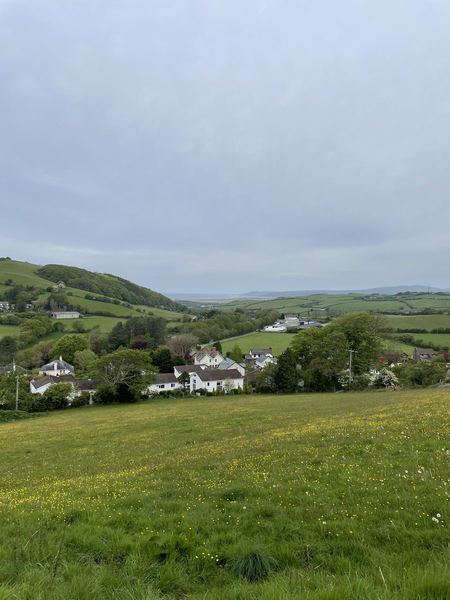 garden2_plate's tweet photo. Havenโt been up the hill behind us for ages .. such amazing views. I need to do it more often ๐ #views #ynyslas #aberdifi #llandre #upahillinwales #abundancemindset #gratitude https://t.co/jXtehu54PD