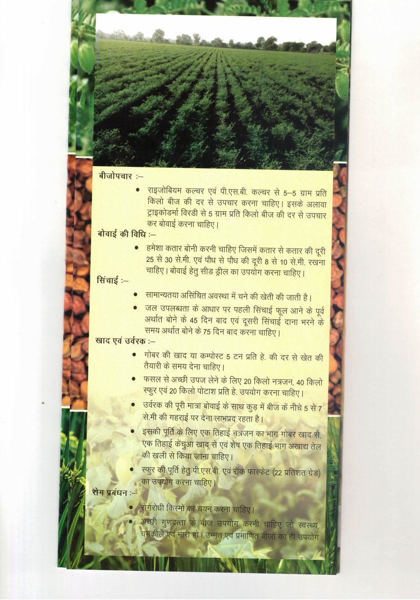 CG36Agriculture's tweet photo. . #चने (#chickpea) के खेती की कृषि कार्यमाला - #sowing time, #seedrate,#seedtreatment,#irrigation, #fertilizer, #Pesticides use. https://t.co/qyCw69Vd59