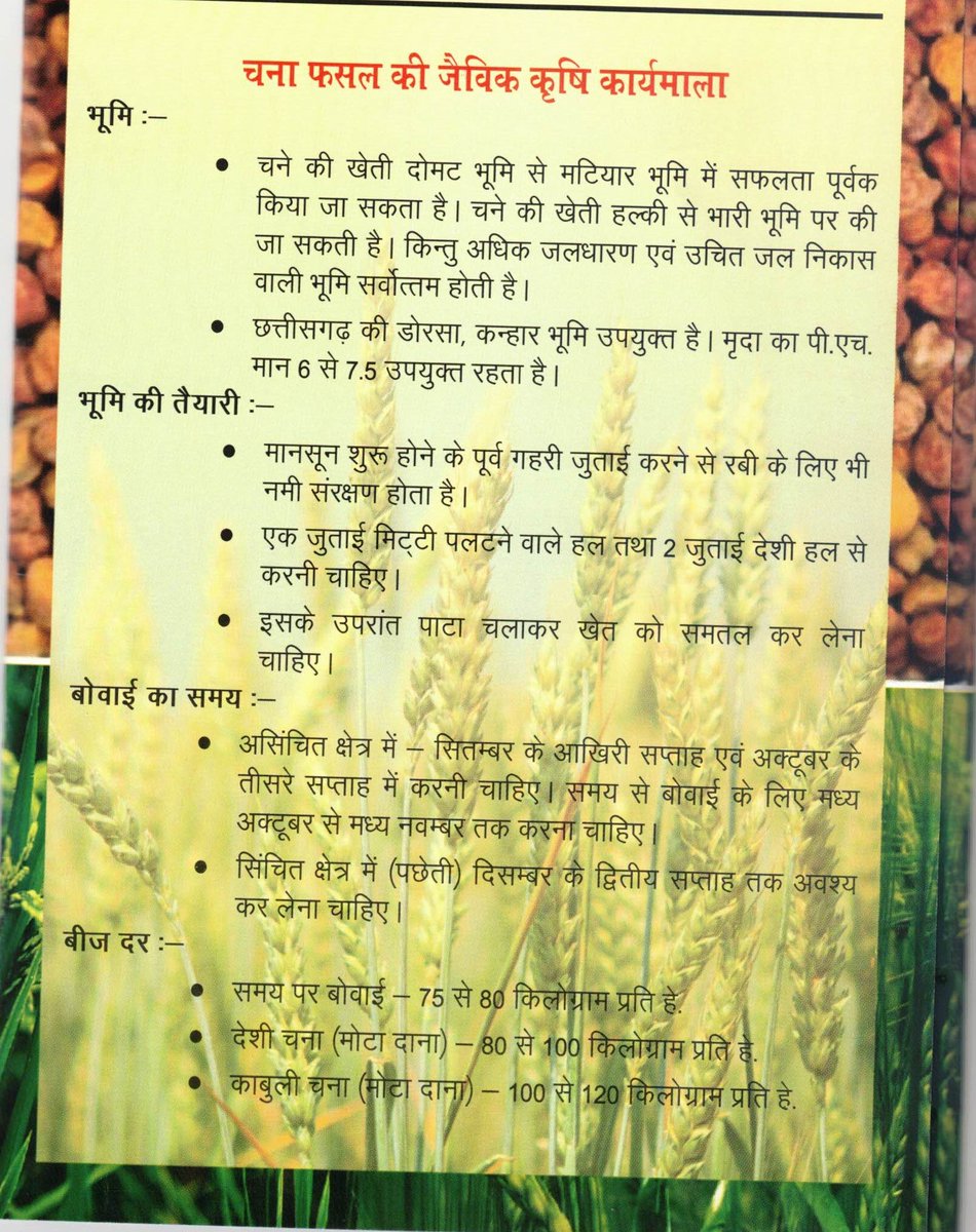 CG36Agriculture's tweet photo. . #चने (#chickpea) के खेती की कृषि कार्यमाला - #sowing time, #seedrate,#seedtreatment,#irrigation, #fertilizer, #Pesticides use. https://t.co/qyCw69Vd59