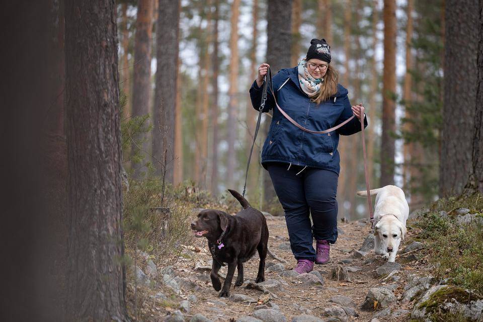 ksmlfi's tweet photo. https://t.co/1KNqNl0AG1
Tämä on kyllä loistoidea. Eläimet piristävät monen vanhuksen elämää. ❤️ https://t.co/YYsyH6EUEH