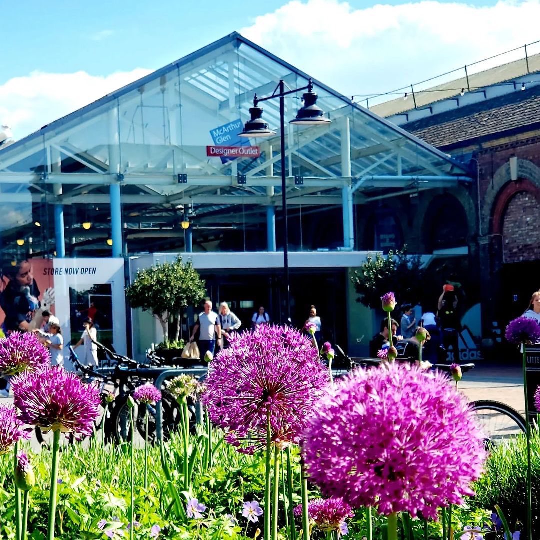 visit_swindon's tweet photo. Thanks for tagging us in this gorgeous capture of the Outlet Village 💚

Discover the Designer Outlet and lots of shopping inspiration on Visit Swindon 💚

🔗 https://t.co/FGThWCGj51
_
Credit: 📸 @rimpysharma19

#swindon #swindondesigneroutlet https://t.co/f5rXEK88X9